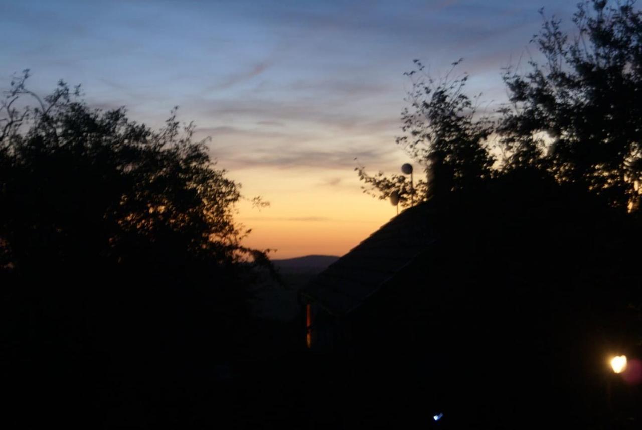 Inviting 2-Bed Cottage In Newcastle Emlyn Esterno foto