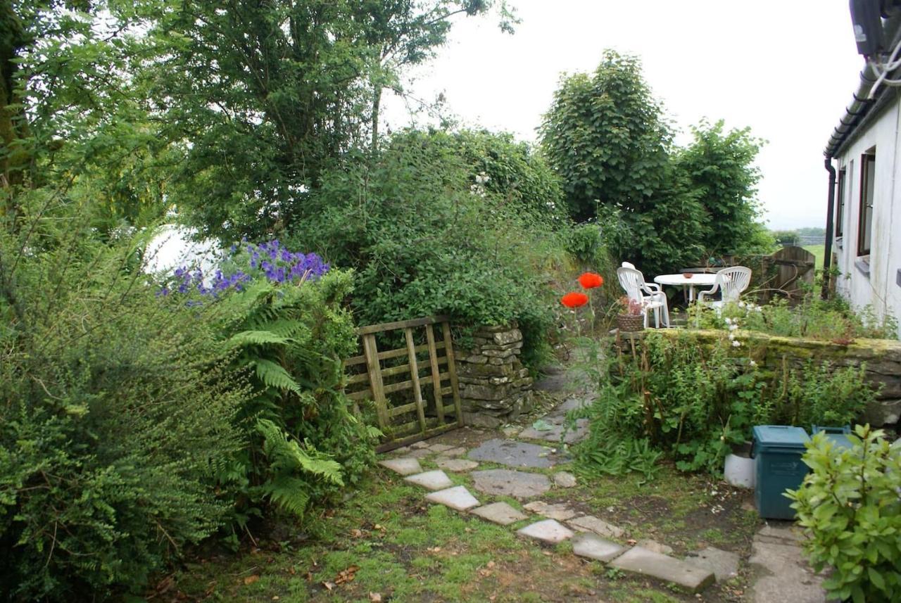 Inviting 2-Bed Cottage In Newcastle Emlyn Esterno foto