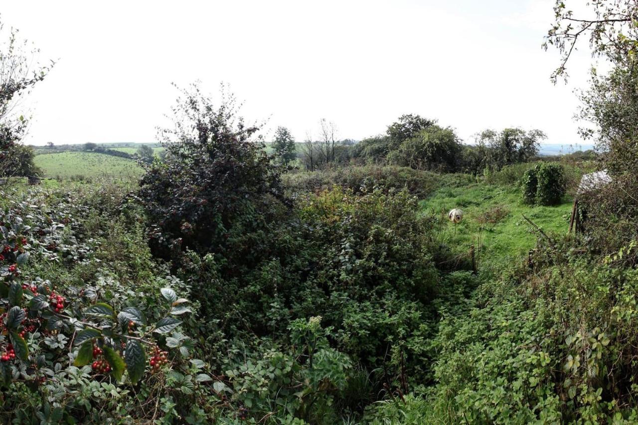 Inviting 2-Bed Cottage In Newcastle Emlyn Esterno foto