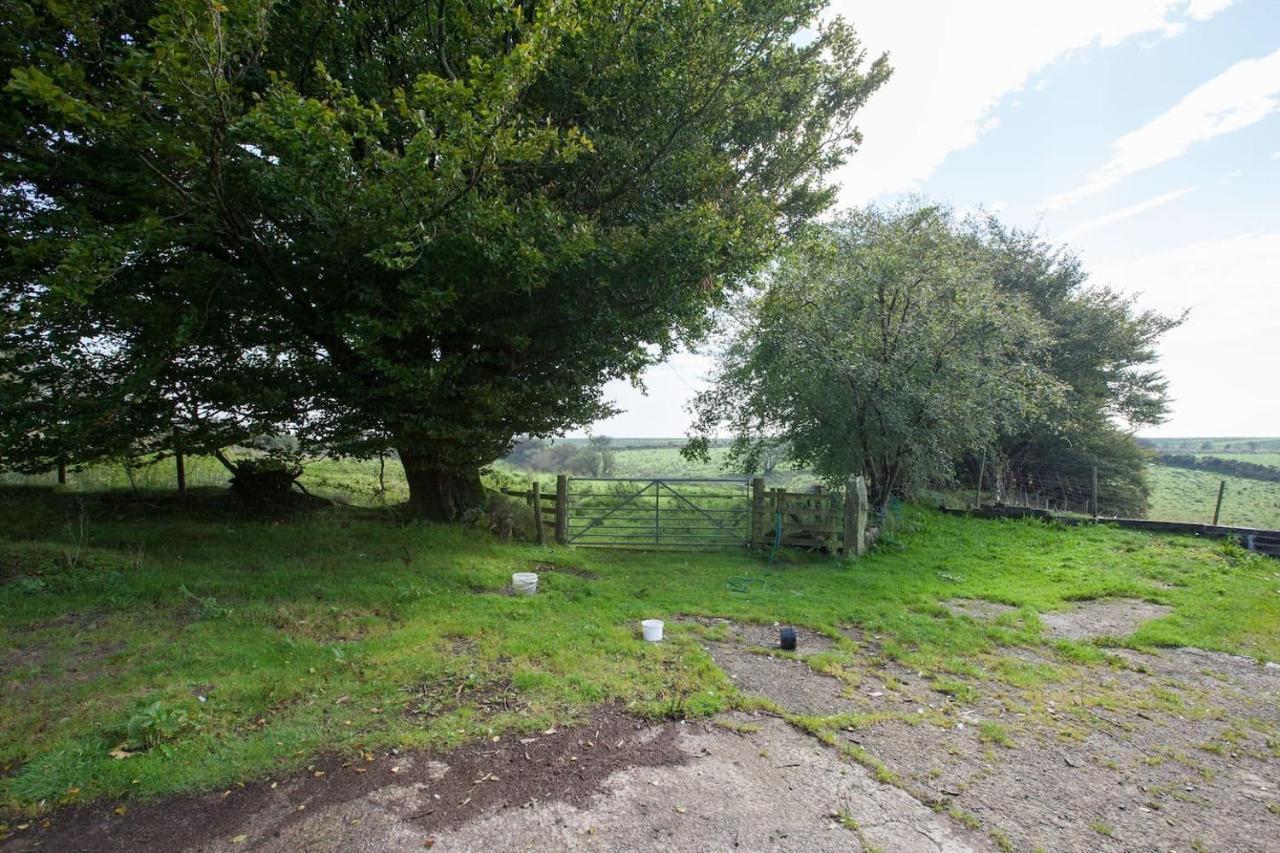 Inviting 2-Bed Cottage In Newcastle Emlyn Esterno foto